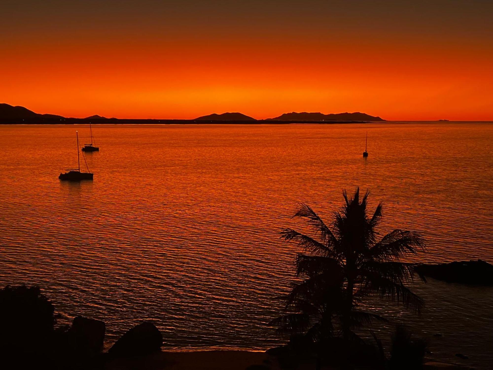 Coral Cove Apartments - Absolute Beachfront Resort Bowen Exteriör bild